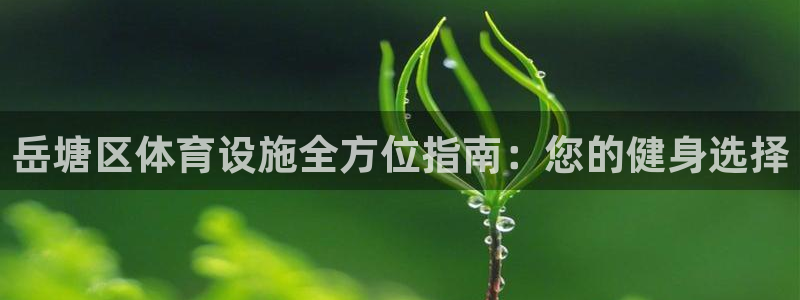 意昂3五金厂：岳塘区体育设施全方位指南：您的健身选择