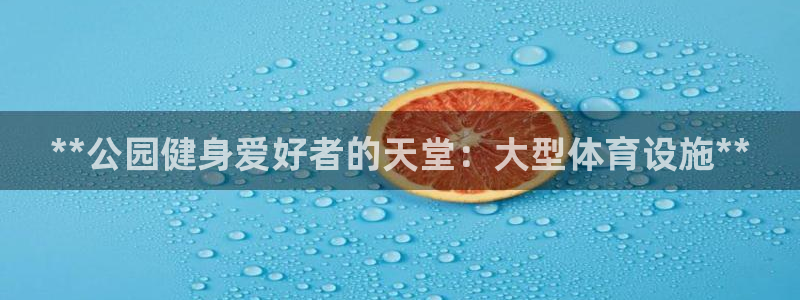 意昂体育3平台：**公园健身爱好者的天堂：大型体育设