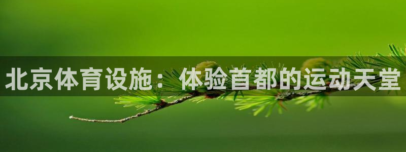意昂体育3注册：北京体育设施：体验首都的运动天堂
