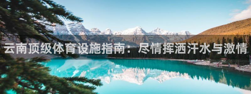 意昂3科技：云南顶级体育设施指南：尽情挥洒汗水与激情