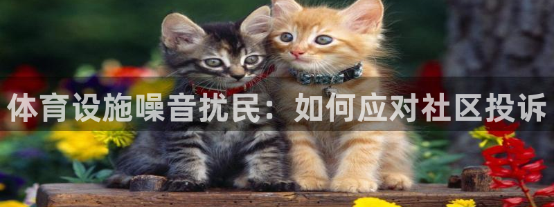 海南意昂体育3：体育设施噪音扰民：如何应对社区投诉