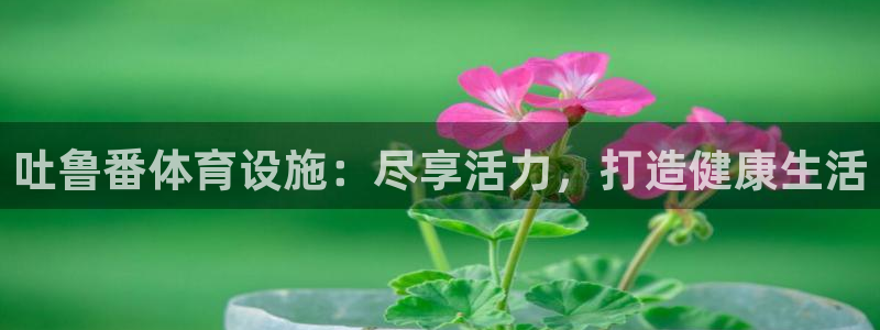 意昂平台体育：吐鲁番体育设施：尽享活力，打造健康生活