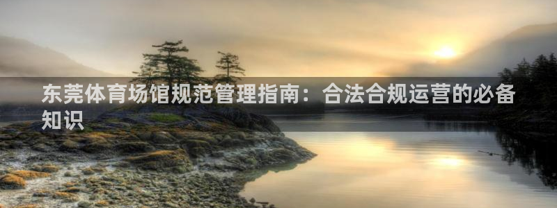 意昂3神州：东莞体育场馆规范管理指南：合法合规运营的