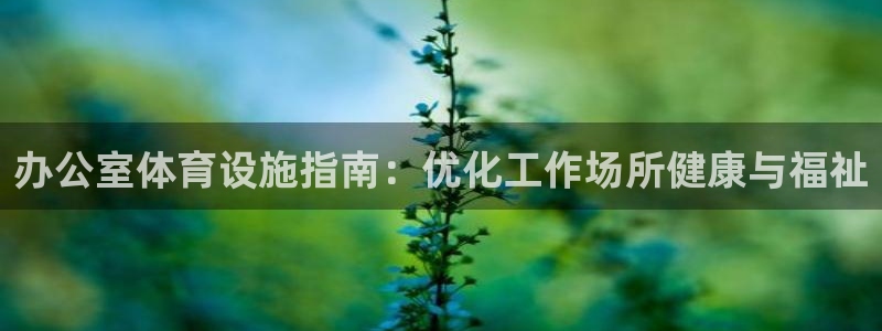 意昂集团官网：办公室体育设施指南：优化工作场所健康与