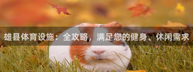 注册意昂3：雄县体育设施：全攻略，满足您的健身、休闲