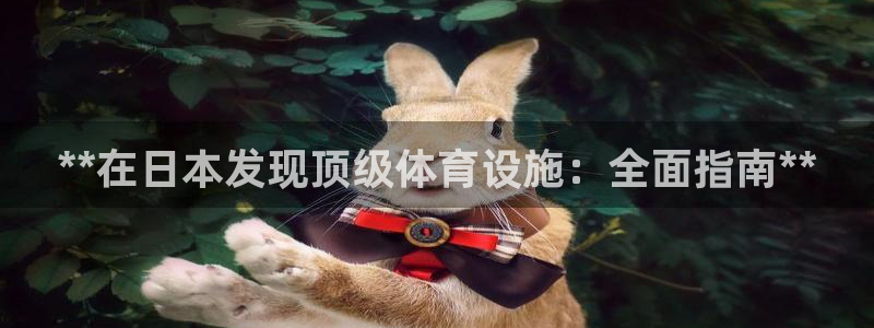 意昂3五金厂：**在日本发现顶级体育设施：全面指南*