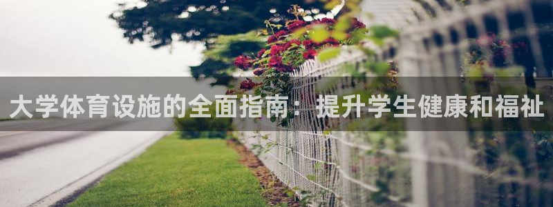 意昂3娱乐下载：大学体育设施的全面指南：提升学生健康