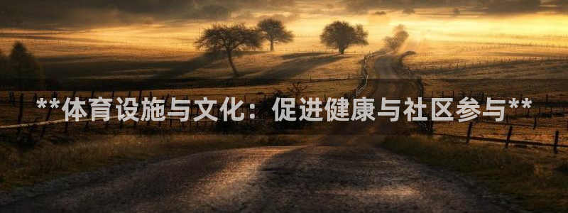 意昂3集团官网首页网址：**体育设施与文化：促进健康