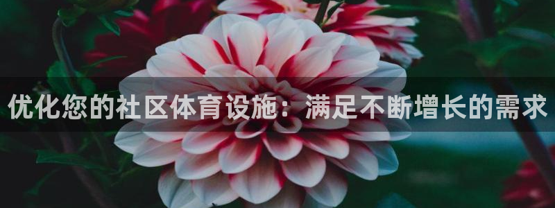 意昂3神州：优化您的社区体育设施：满足不断增长的需求