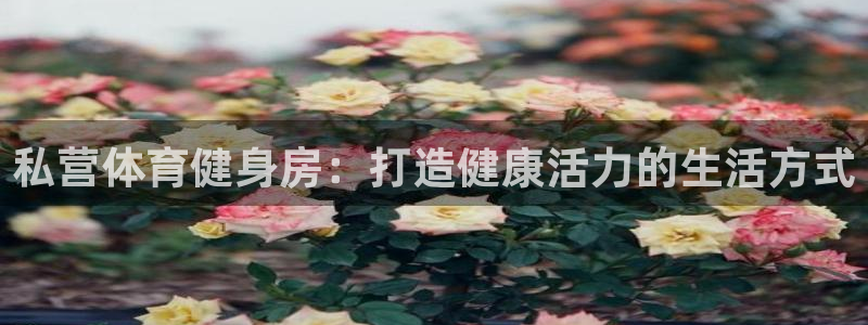 意昂体育3官方客服电话：私营体育健身房：打造健康活力