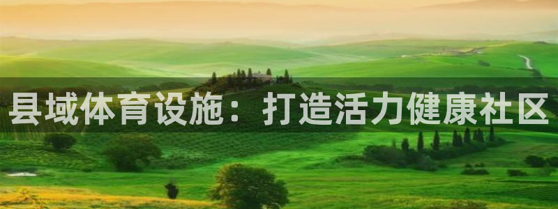 意昂3娱乐下载：县域体育设施：打造活力健康社区