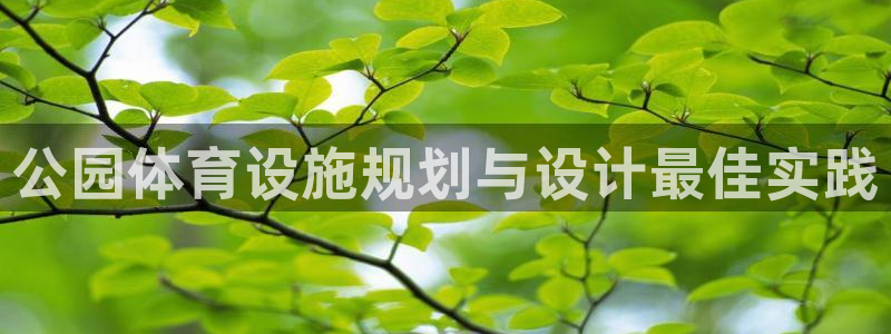 意昂体育3软件：公园体育设施规划与设计最佳实践