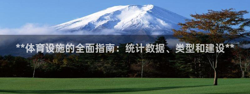 意昂3代理：**体育设施的全面指南：统计数据、类型和