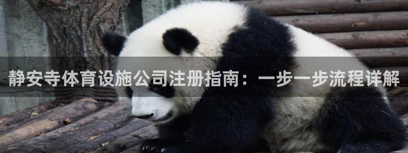 意昂体育3平台是正规平台吗安全吗：静安寺体育设施公司