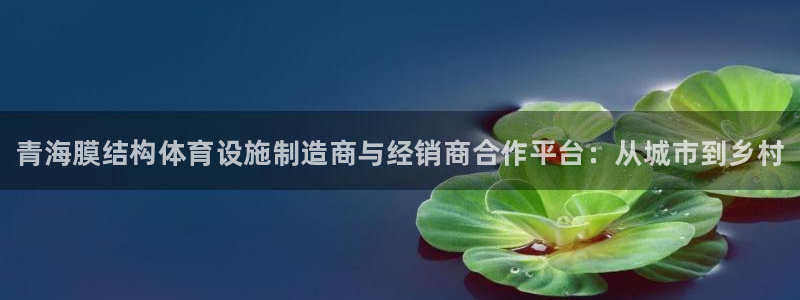 意昂平台体育：青海膜结构体育设施制造商与经销商合作平