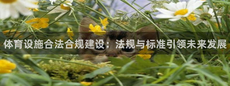 德国意昂3集团：体育设施合法合规建设：法规与标准引领未来发展