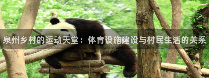 意昂体育3招商电话号码是多少号：泉州乡村的运动天堂：体育设施