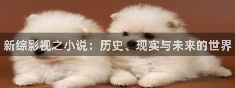 平民影院在线观看高清完整版视频：新综影视之小说：历史、现实与未来的世界