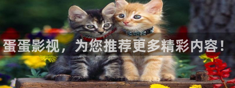 平民影院观看：蛋蛋影视，为您推荐更多精彩内容！