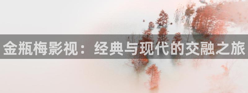 平民私人影院：金瓶梅影视：经典与现代的交融之旅