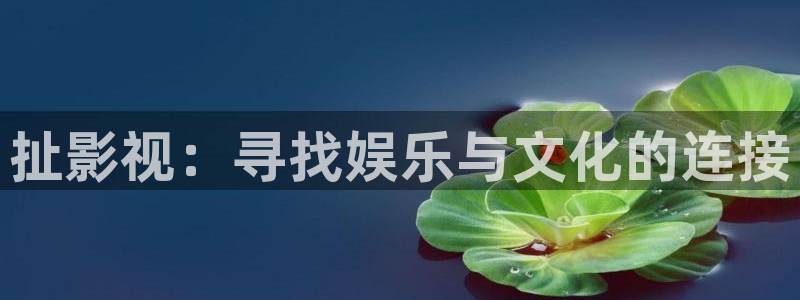 abc影视平民影院：扯影视：寻找娱乐与文化的连接